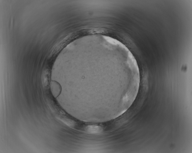 X0000115610169200912221214