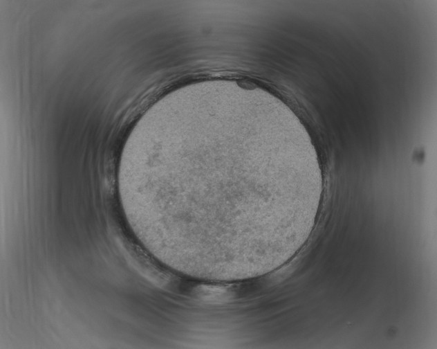 X0000115610170200912221214