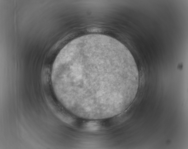 X0000115610171200912221215