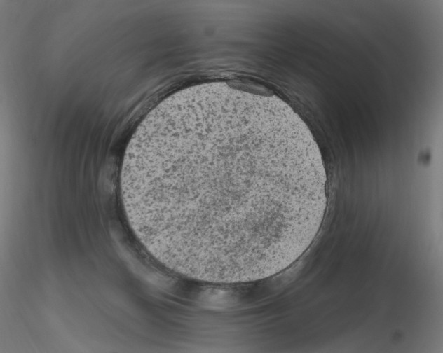 X0000115610174200912221215