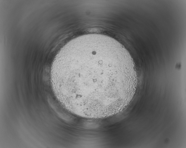 X0000115610175200912221215