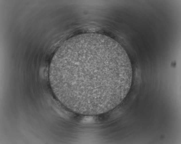 X0000115610177200912221215