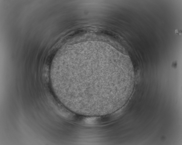 X0000115610178200912221215