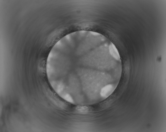 X0000115610181200912221215