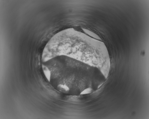 X0000115610182200912221215