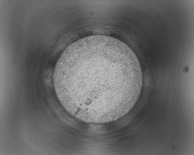 X0000115610185200912221215