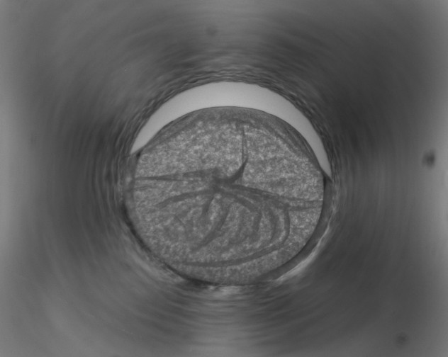 X0000115610186200912221215