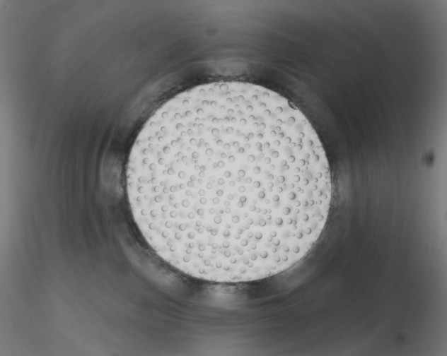 X0000115610187200912221215