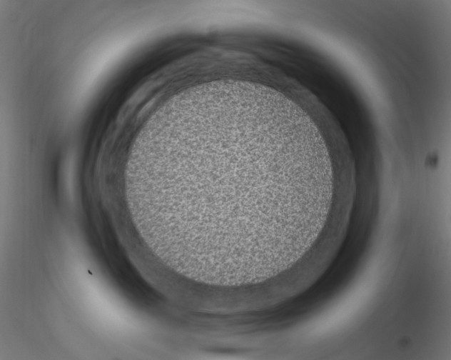 X0000115610189200912221215