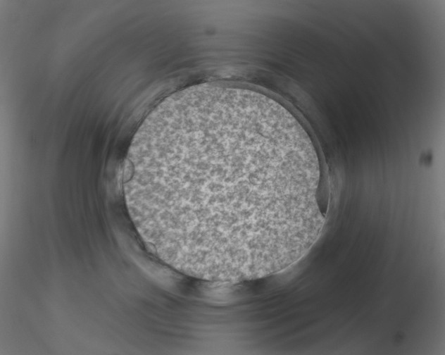 X0000115610191200912221215