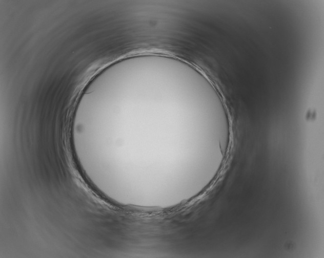 X0000115610193200912221214
