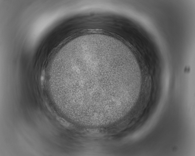 X0000115610194200912221214