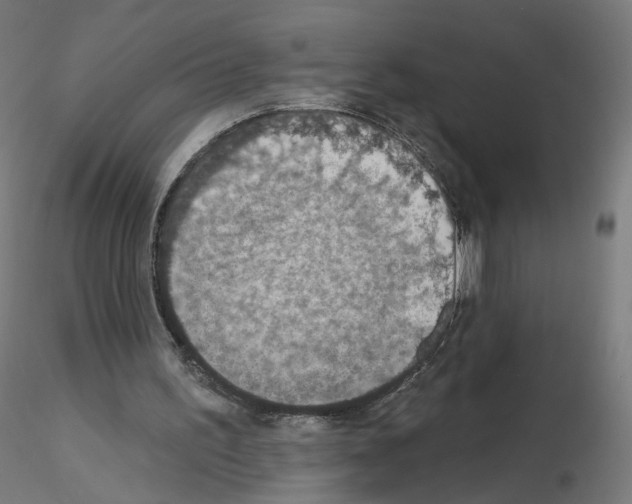 X0000115610195200912221214