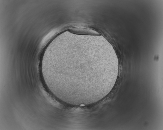 X0000115610197200912221214