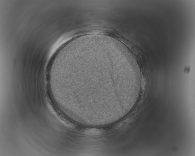 X0000115610198200912221214