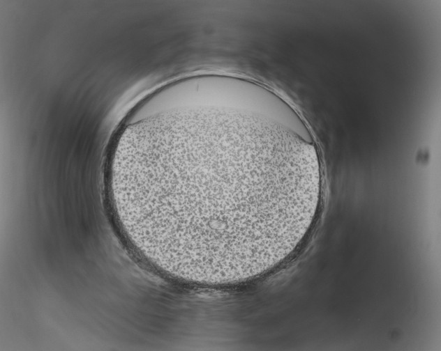 X0000115610199200912221214