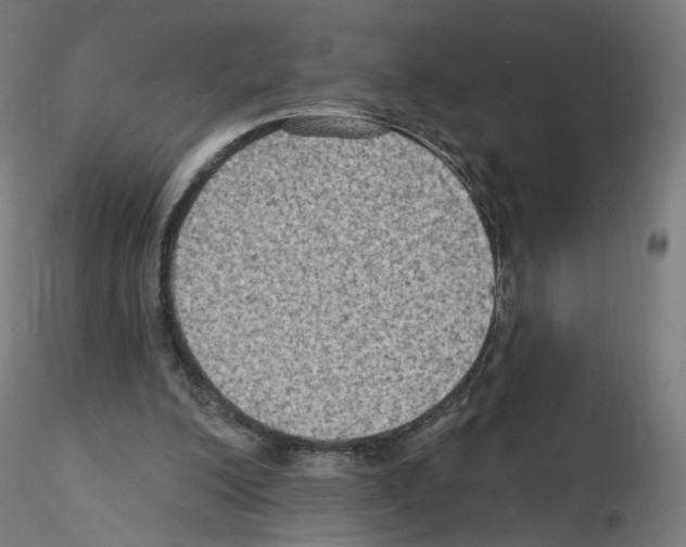 X0000115610200200912221214