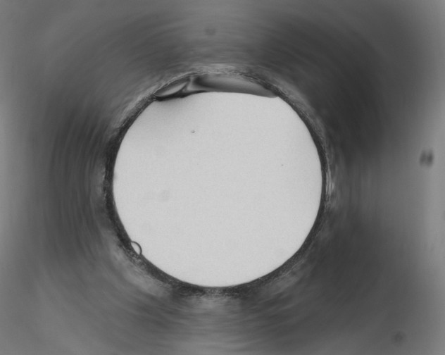 X0000115610201200912221214