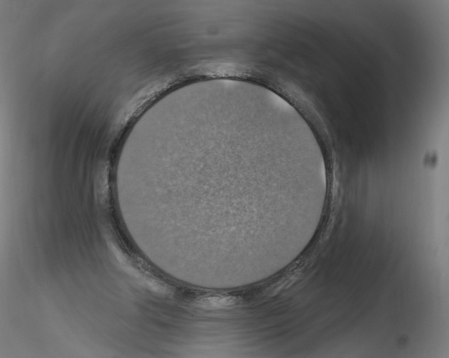X0000115610202200912221214