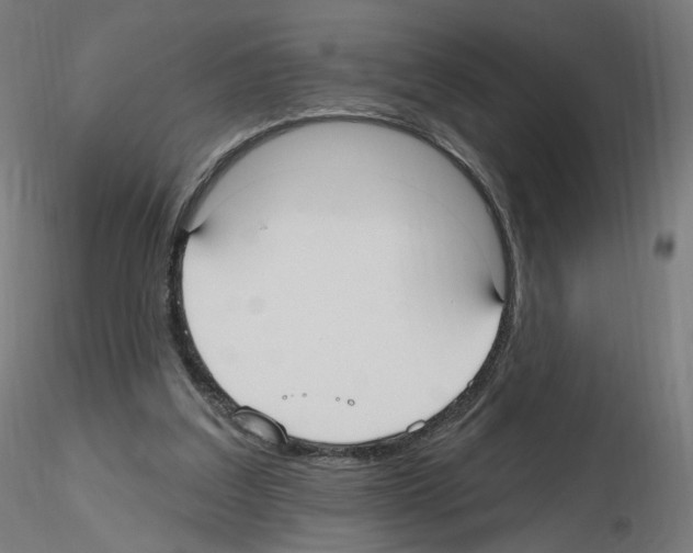 X0000115610203200912221214
