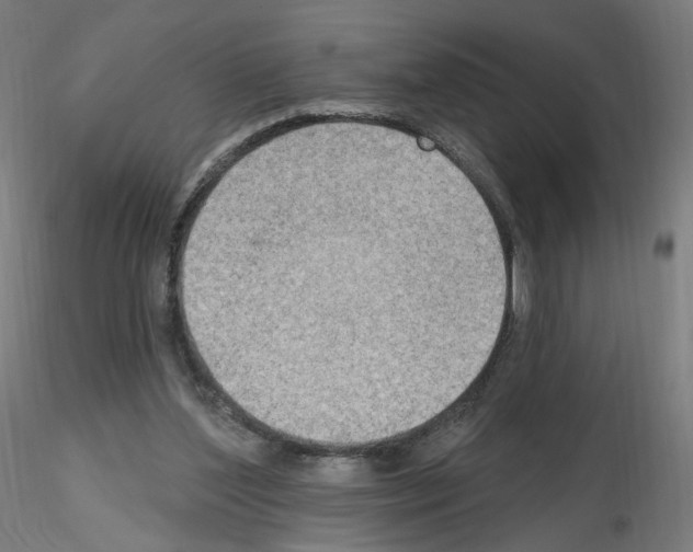 X0000115610204200912221214