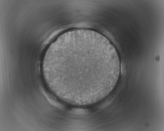 X0000115610205200912221214