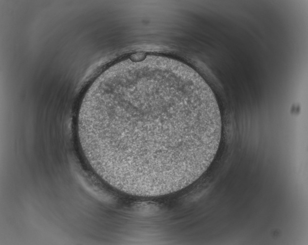 X0000115610207200912221214