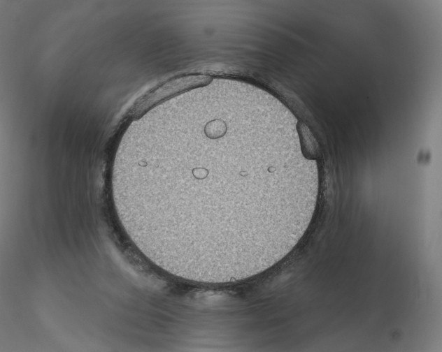 X0000115610208200912221214