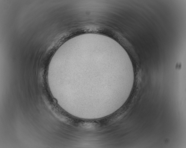 X0000115610209200912221214