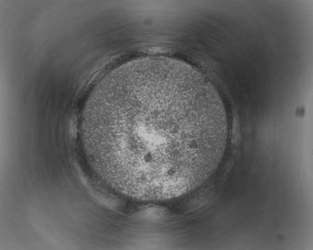 X0000115610210200912221214