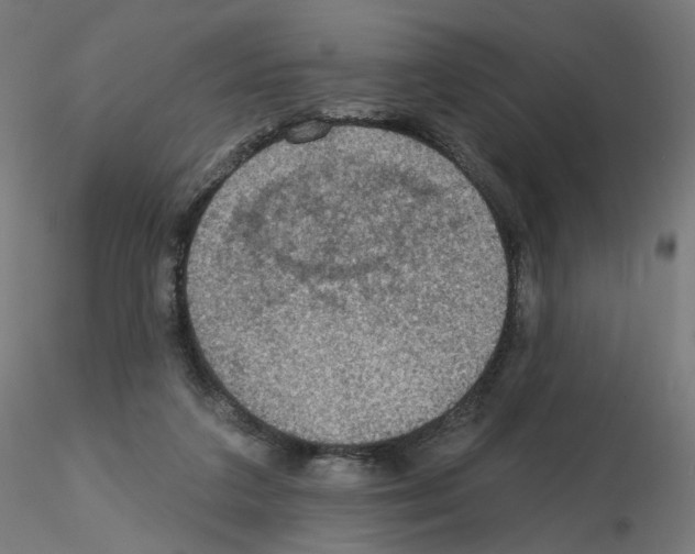 X0000115610211200912221214