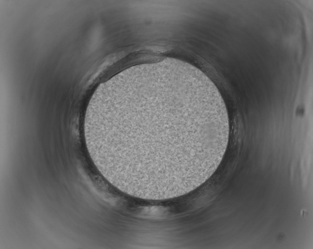 X0000115610212200912221214