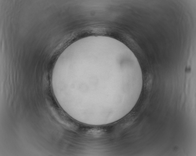 X0000115610213200912221214