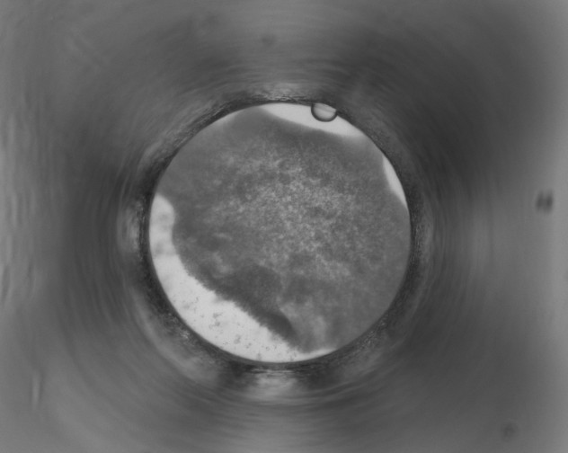X0000115610214200912221214