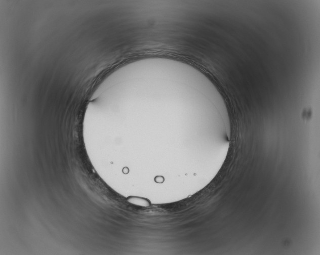X0000115610215200912221214