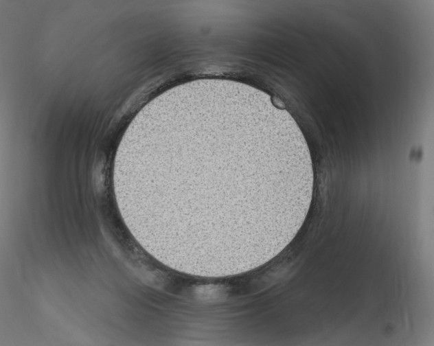 X0000115610216200912221214