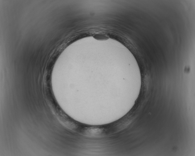 X0000115610217200912221214