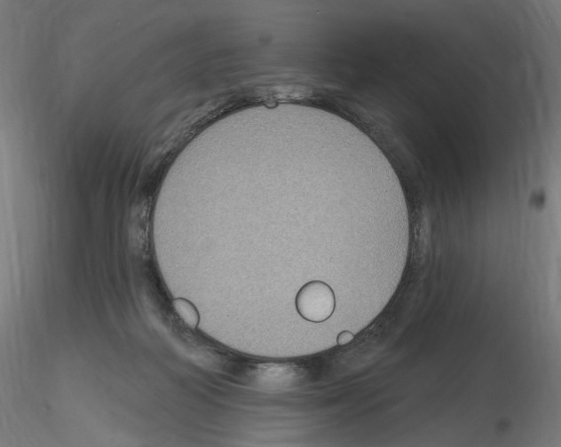 X0000115610218200912221214