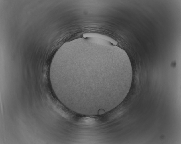X0000115610219200912221214
