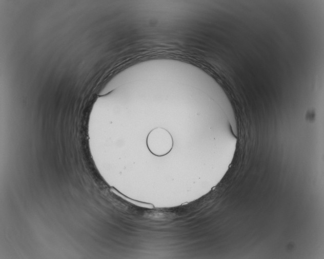 X0000115610221200912221214