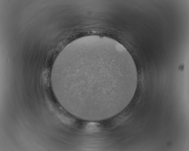 X0000115610222200912221214