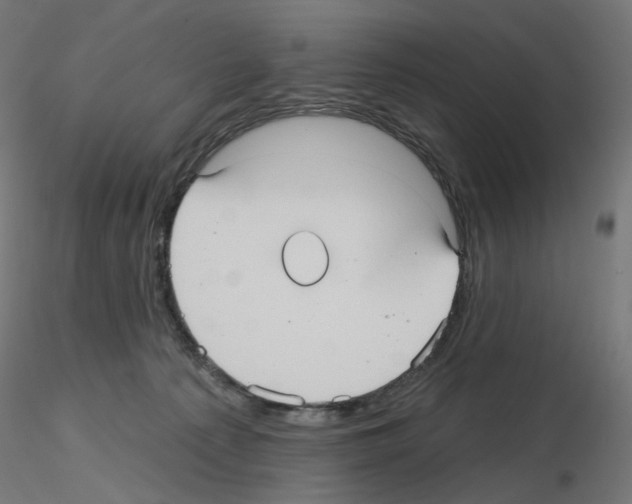 X0000115610225200912221214