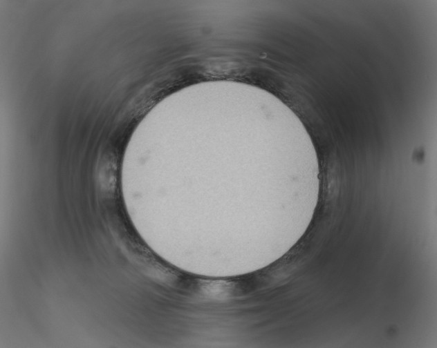 X0000115610226200912221214