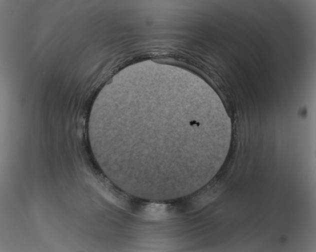 X0000115610227200912221214
