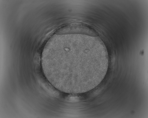 X0000115610228200912221214