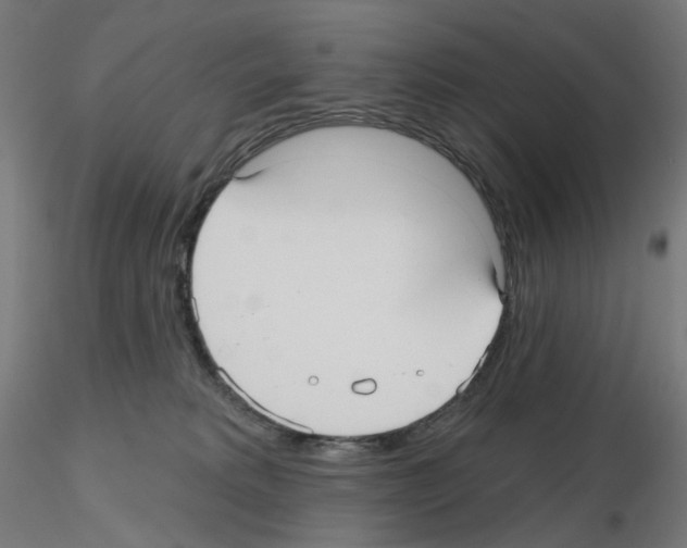 X0000115610229200912221214