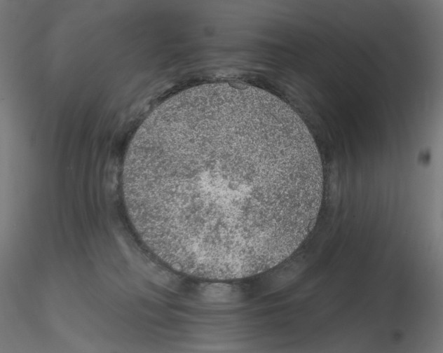 X0000115610230200912221214