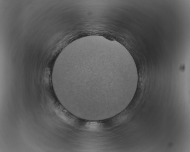 X0000115610231200912221214