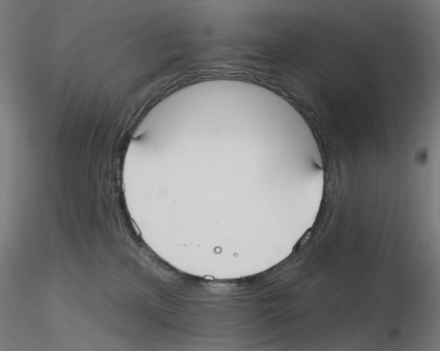 X0000115610233200912221214