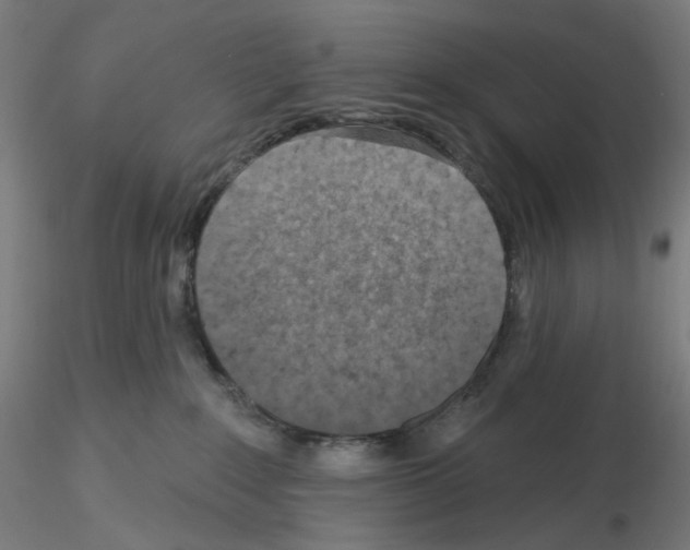 X0000115610235200912221214